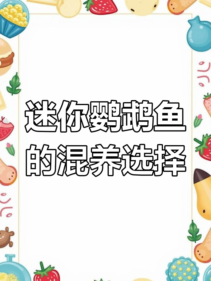 迷你鹦鹉鱼能和其他哪些鱼类混养?