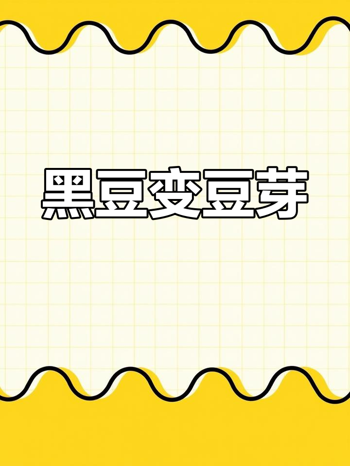 用黑豆培育出鲜嫩豆芽,韭菜炒一盘,清爽可口!