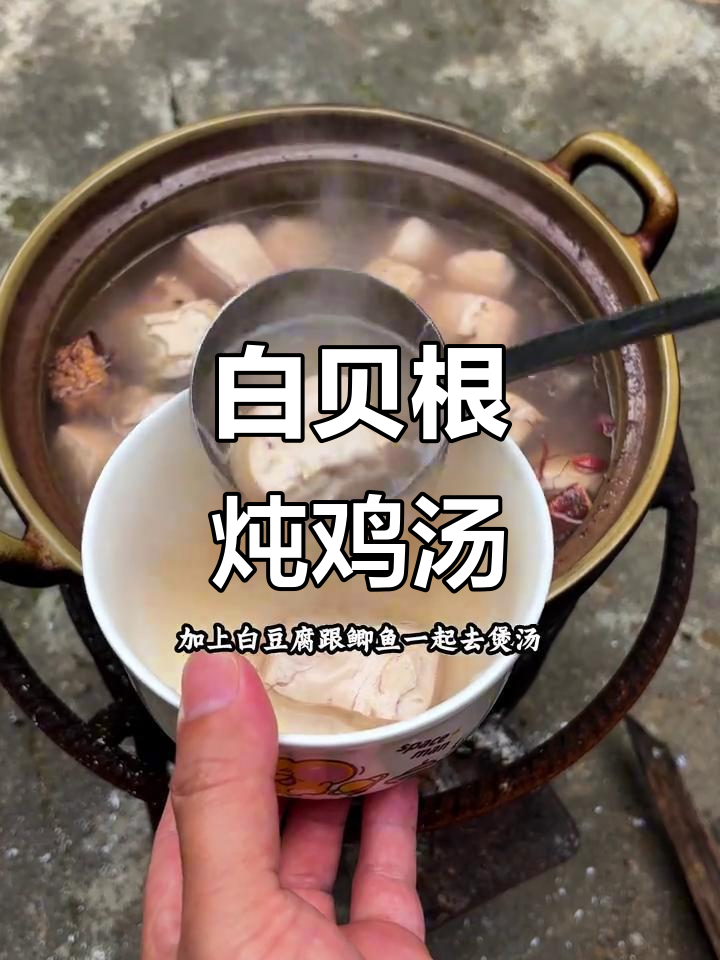 白背根煲鲫鱼汤,农村传统滋补美味