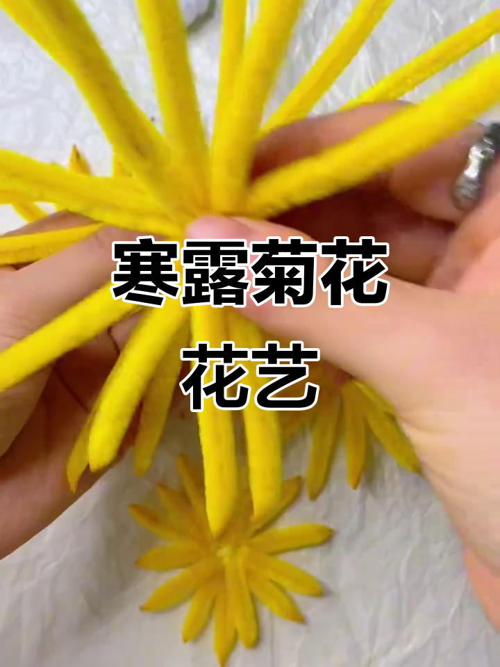 寒露节气手工花,淡雅菊花制作教程