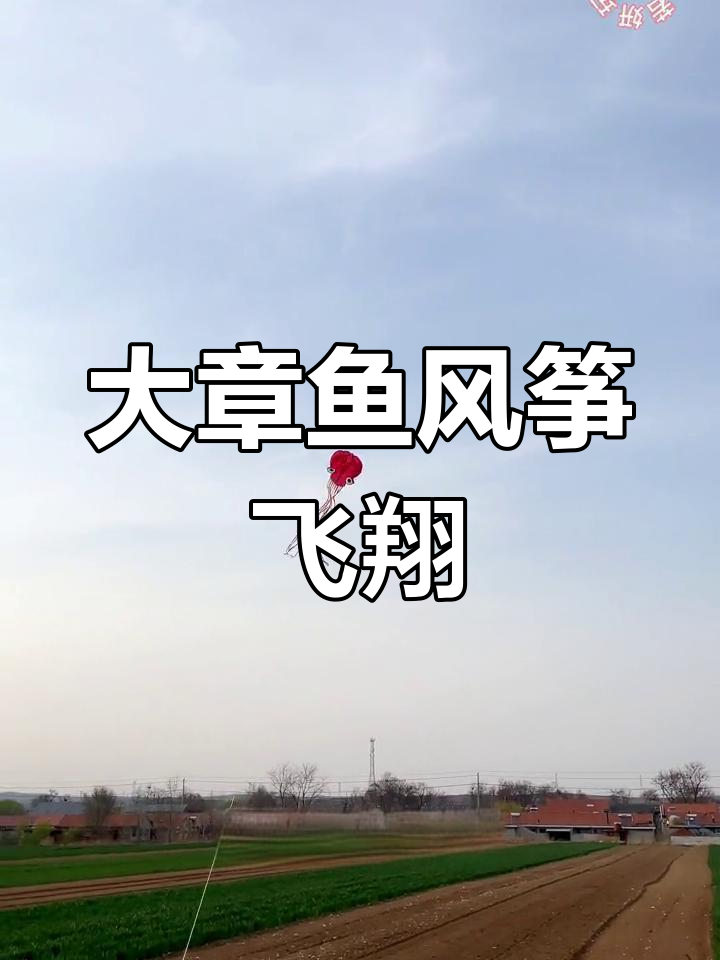 这款风筝无需技巧,放手即飞,章鱼造型超震撼!