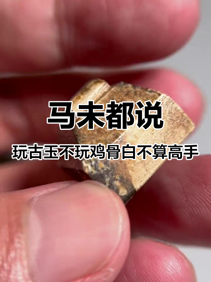 古玉鸡骨白,马未都说的对!