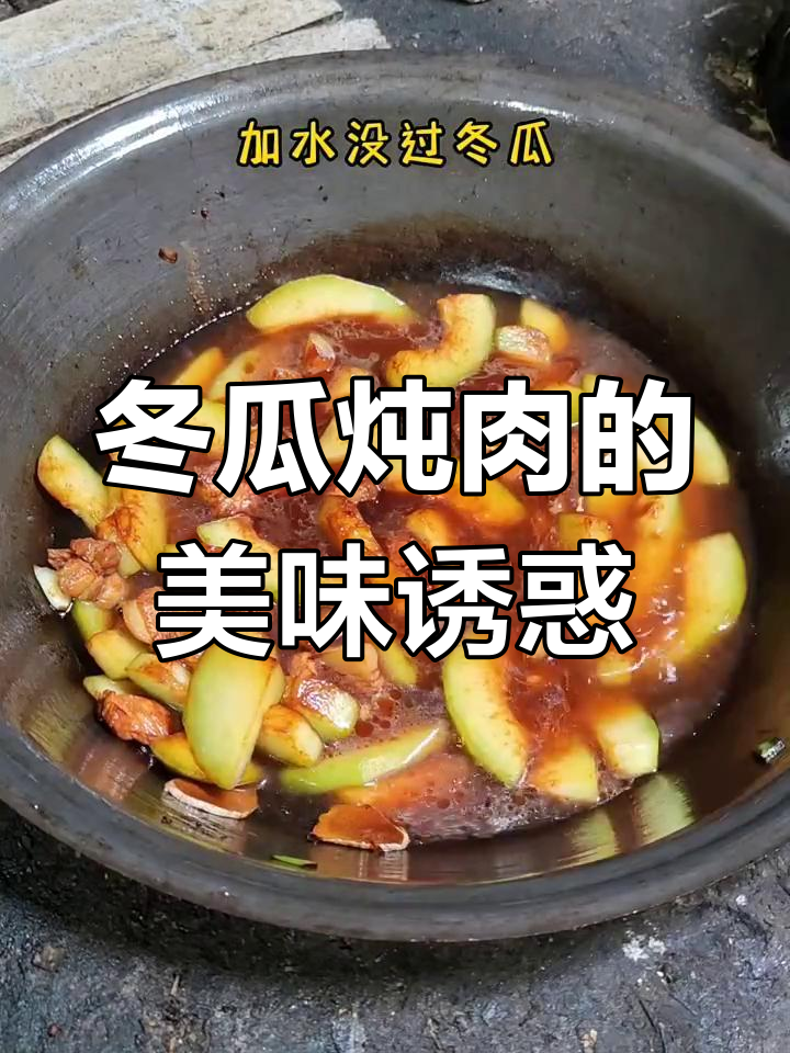新鲜冬瓜炖肉,香气扑鼻,两盆瞬间见底,真是美味下饭的好搭档