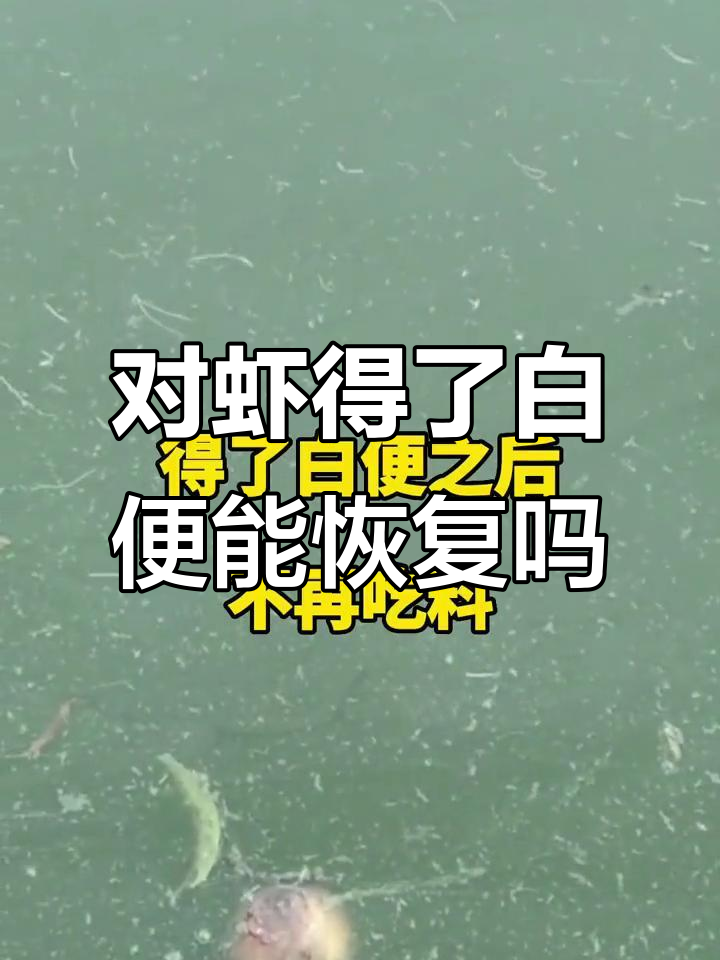 对虾白便能治好吗?如何预防和治疗肝脏病变