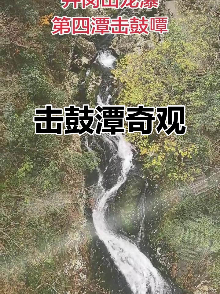击鼓潭瀑布声如雷,娃娃鱼穿梭,螃蟹藏匿其中