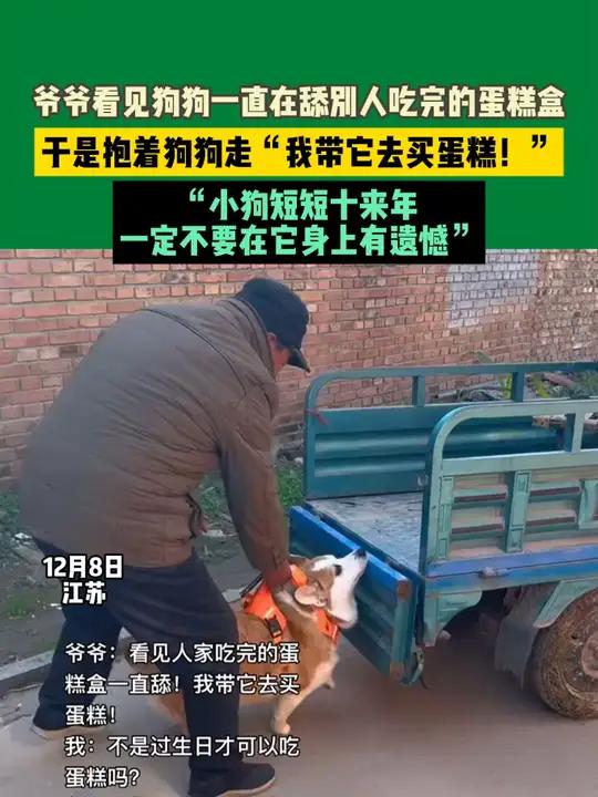 12月8日江苏,爷爷看见狗狗一直在舔别人吃完的蛋糕盒,于是抱着狗狗走“我带它去买蛋糕!”“