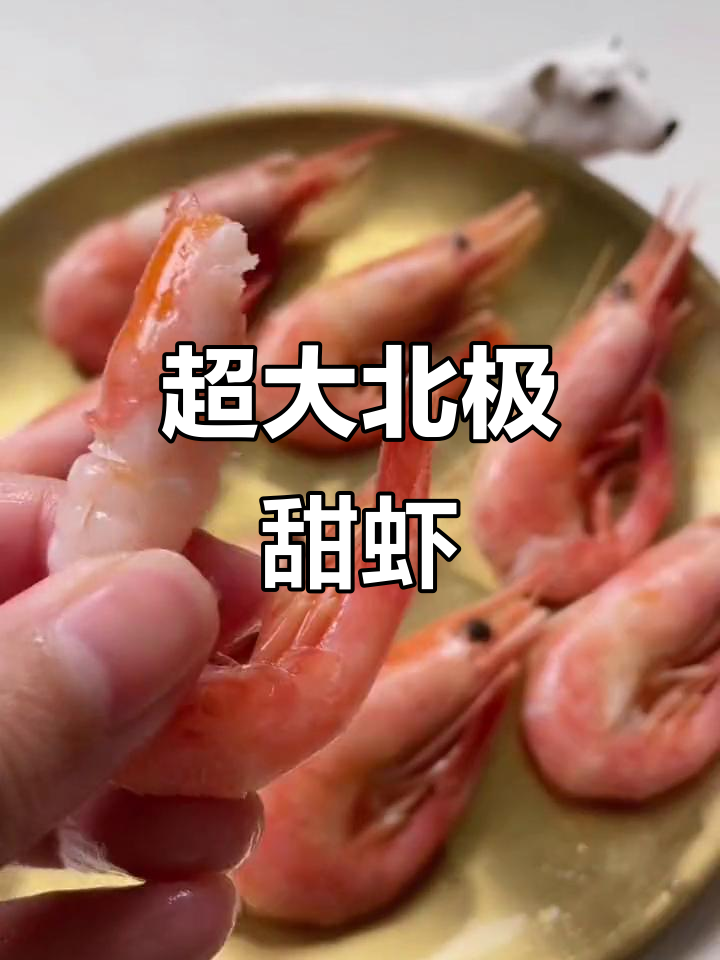 北极圈超大规格甜虾,来自丹麦格陵兰海域的独特美味