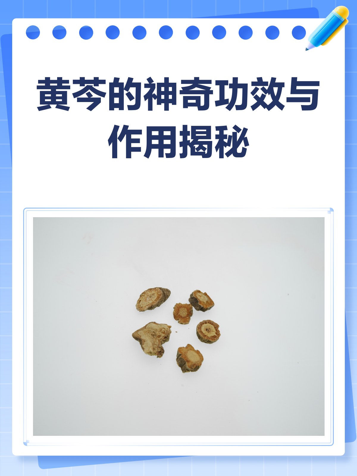 黄芩，清热解毒的“黄金草”