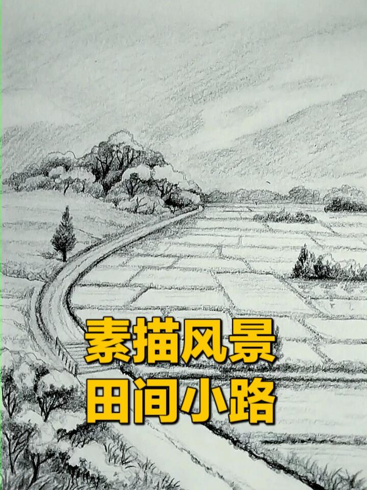素描风景,田间小路