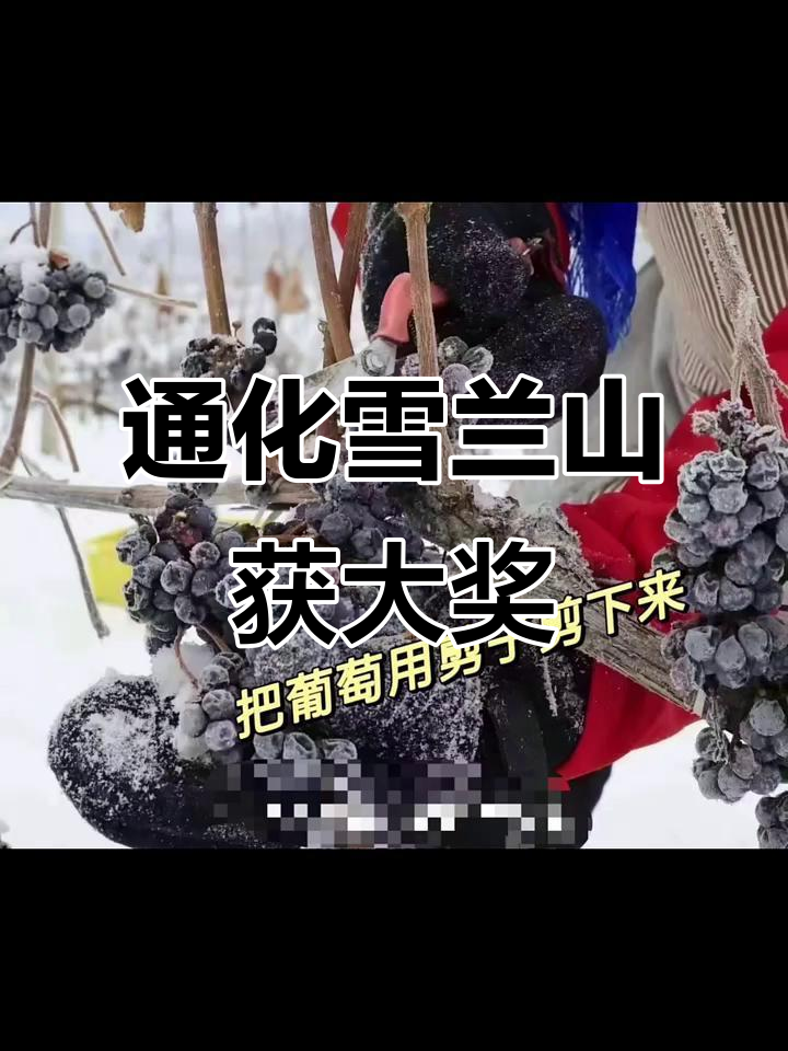 吉林通化雪兰山:冰葡萄荣获亚洲葡萄酒金奖,老字号传承品质