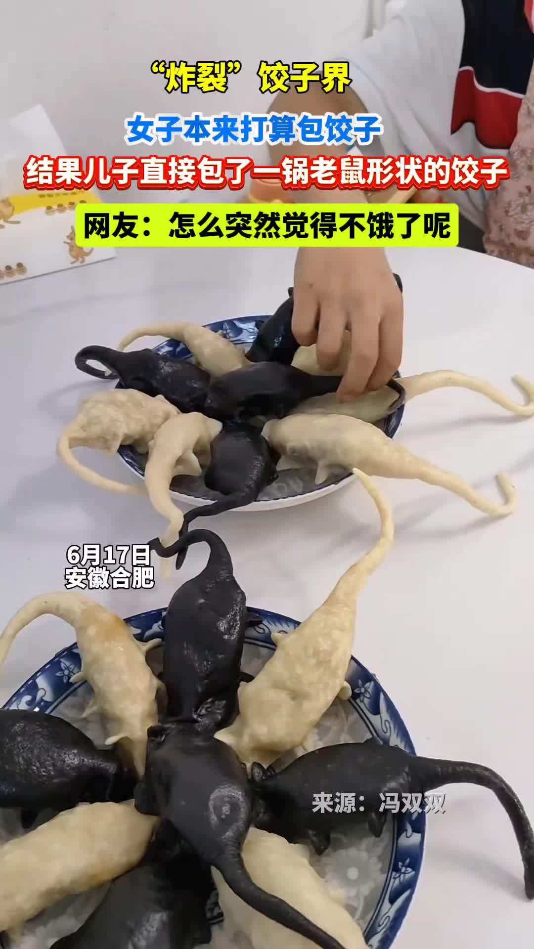 “炸裂”饺子界!女子中午本来打算包饺子,睡一觉出来发现儿子包了一锅老鼠形状的饺子。网友:怎