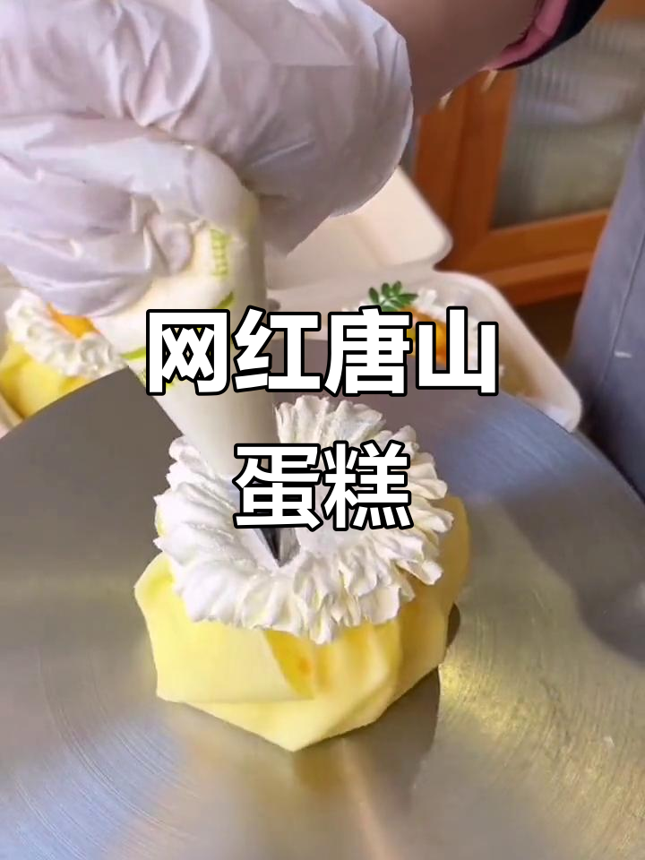 唐山动物奶油蛋糕，网红美食打卡必试！