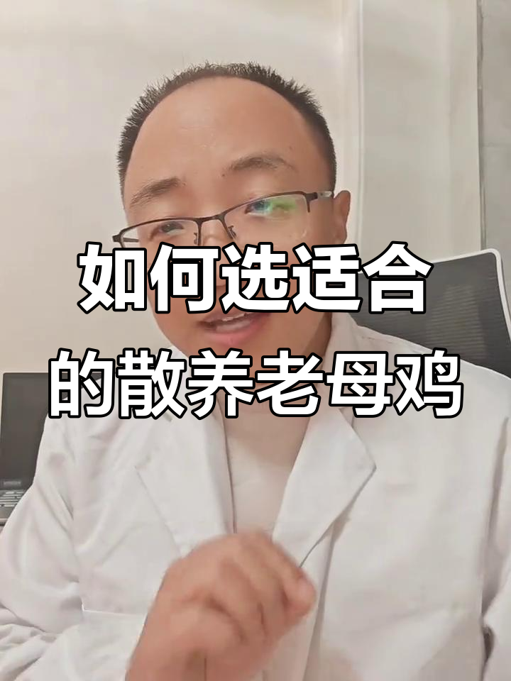 散养土鸡品种选择指南,蛋多又好养的三大推荐