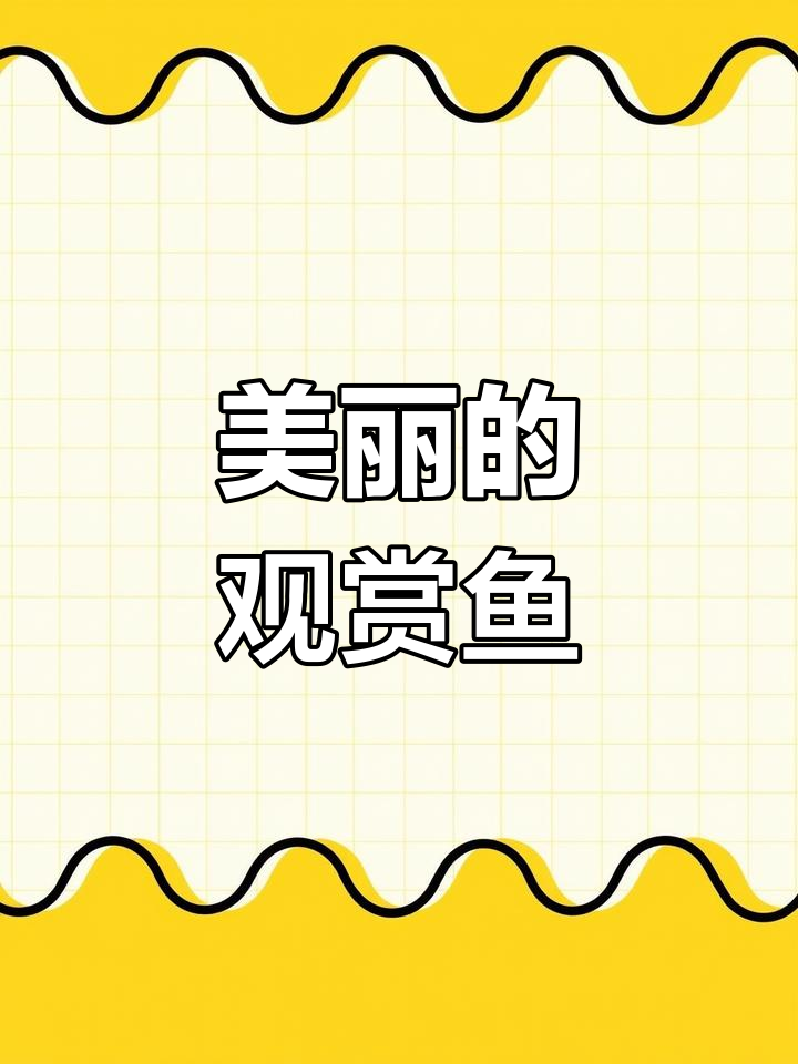 高欢雀鲷,橘红色热带鱼,美丽又独特