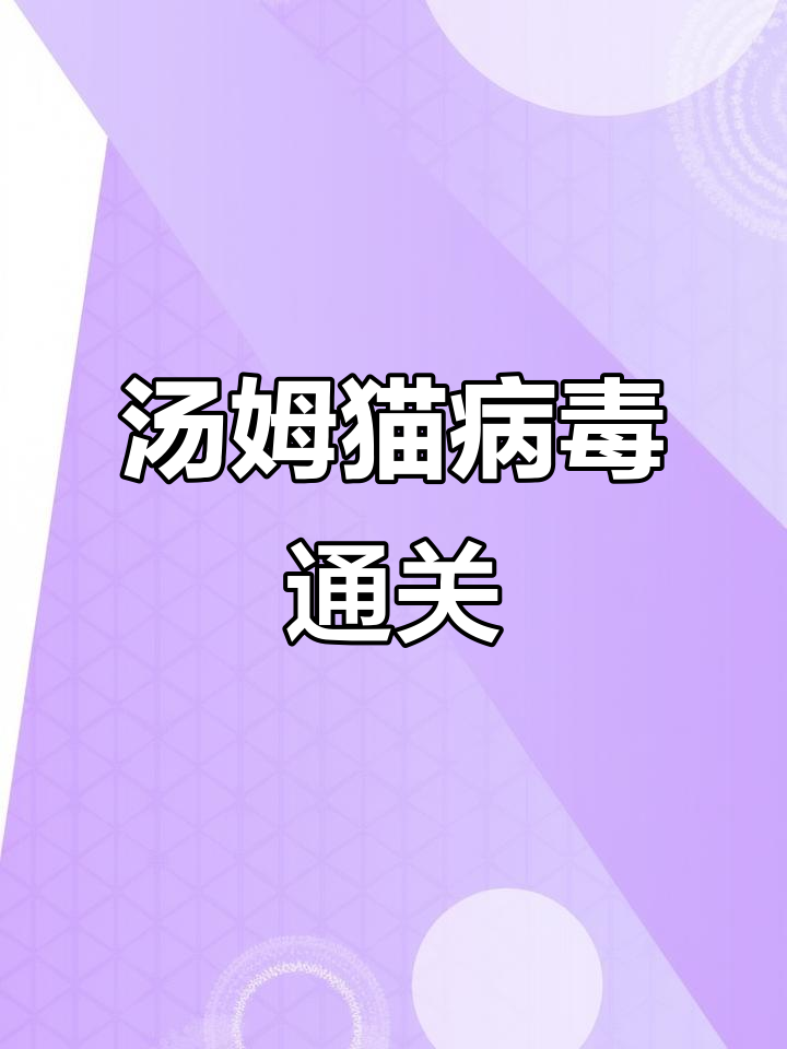 汤姆猫病毒速通挑战，你能成功吗？