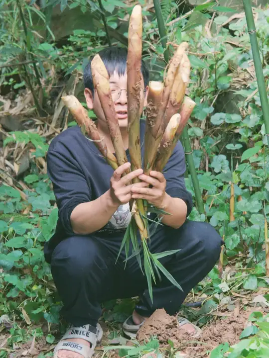 今天三哥回来了,给她安排一道酸菜苦竹笋粉丝豆瓣肉片汤