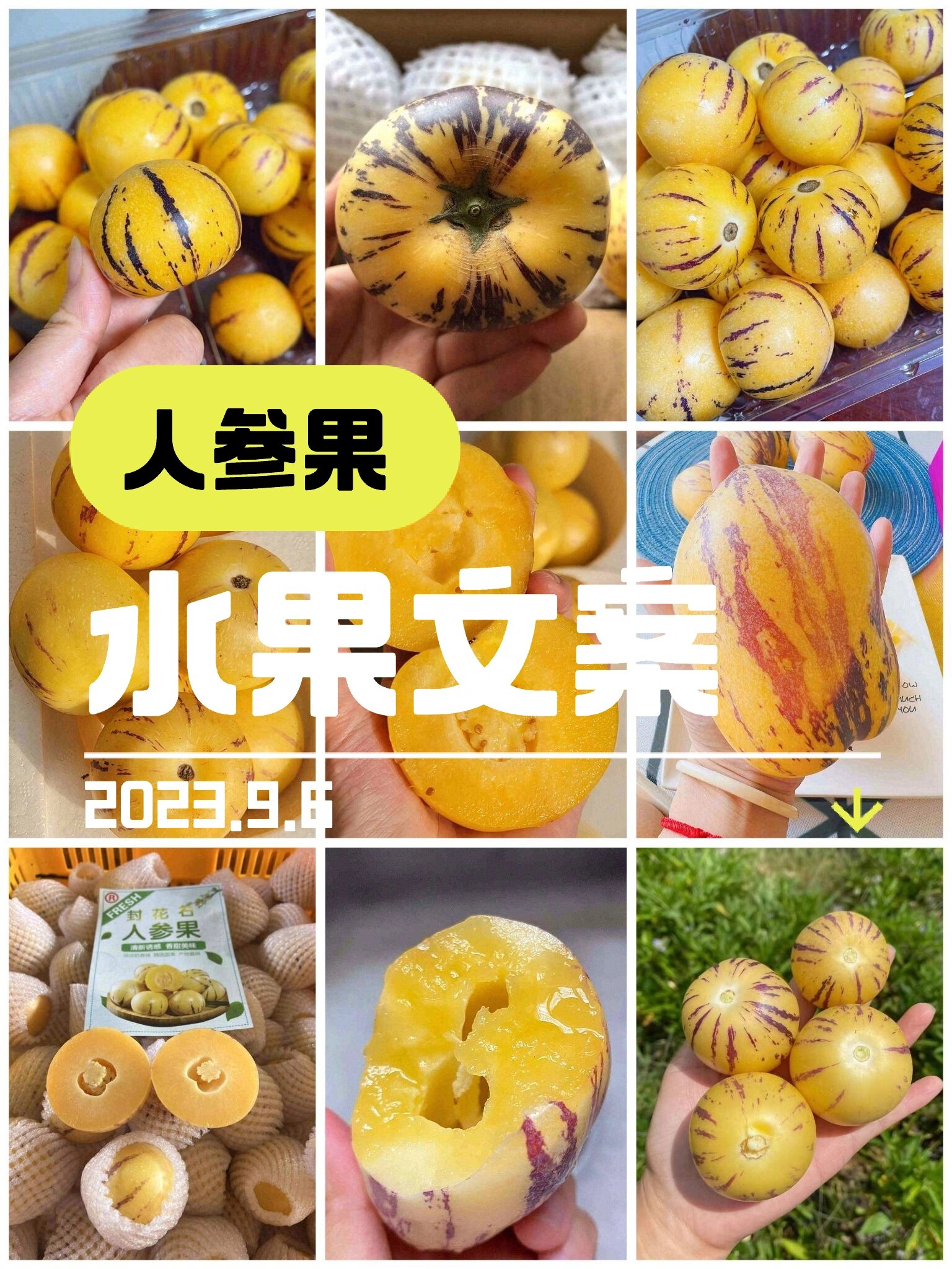 水果文案|9.6人参果朋友圈水果文案推荐