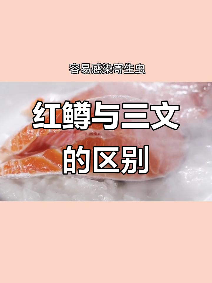 虹鳟鱼和三文鱼的真相,口感、营养大不同