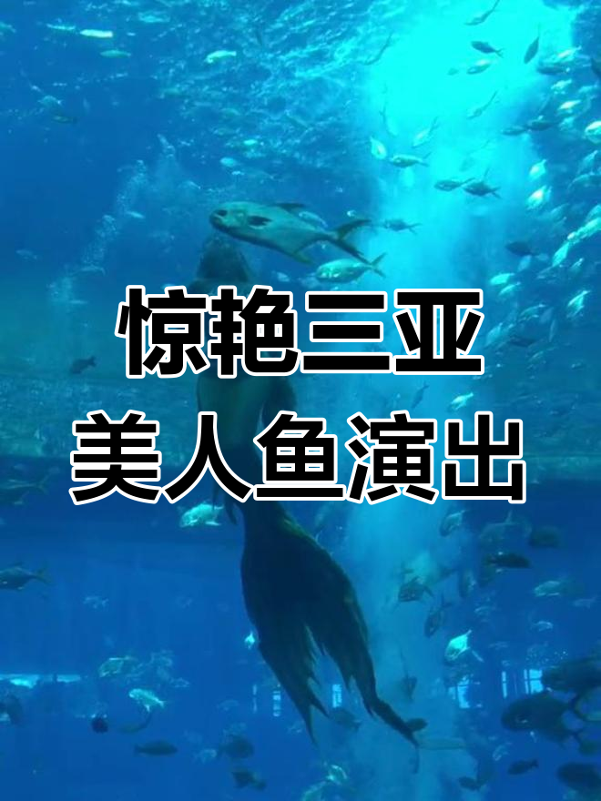 三亚失落空间水族馆美人鱼表演,精彩绝伦