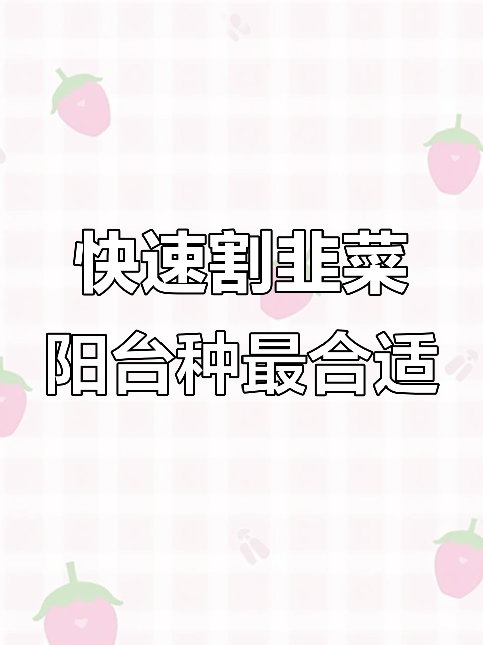 紫根宽叶韭菜,20天收割一茬,家庭种植轻松搞定