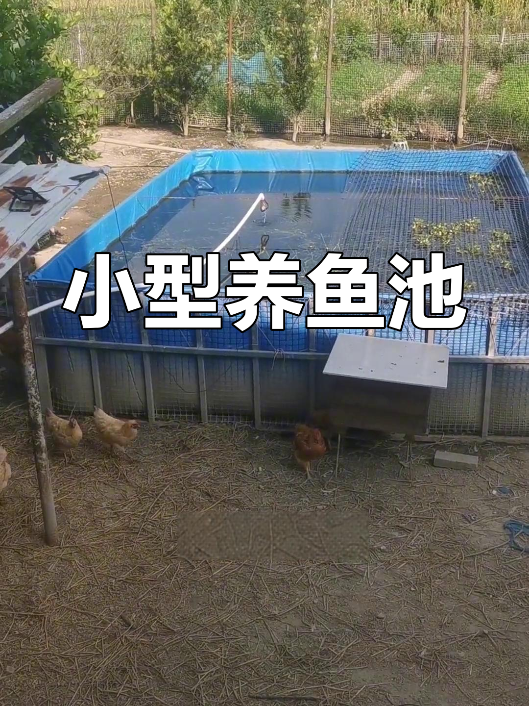 家庭式方形帆布养鱼池