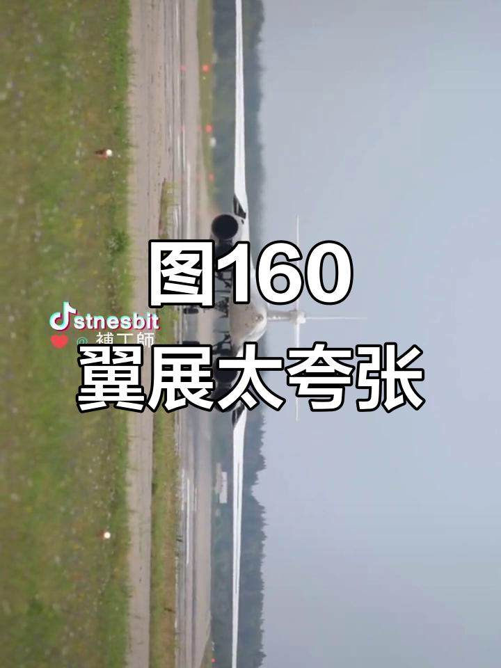 图160白天鹅起飞,翼展惊人震撼!