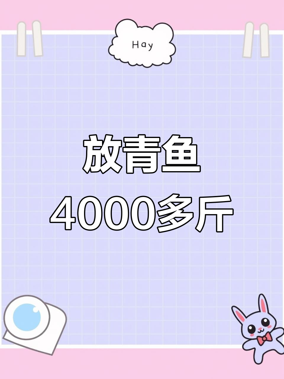 青鱼大丰收,20+到60+斤的都有,老板直呼过瘾