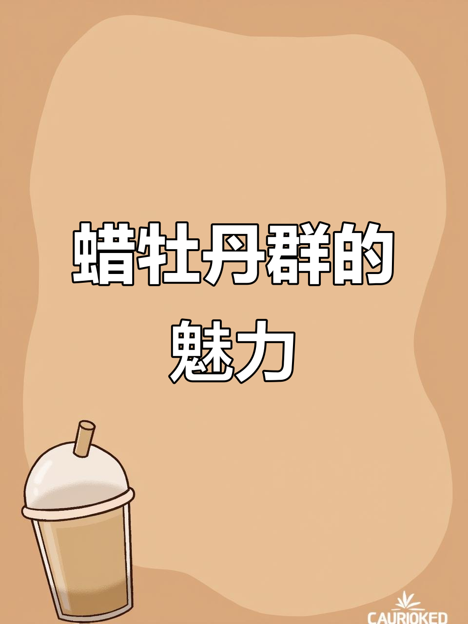 蜡牡丹群太美了，拒绝不了的多肉诱惑