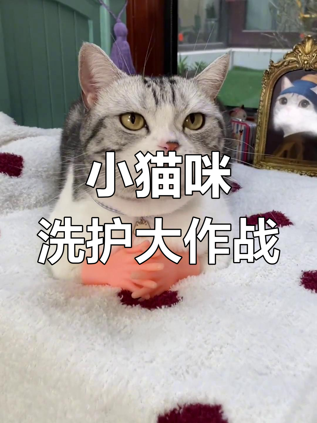 泡芙的小男朋友回来了,洗澡打扮后准备见面!