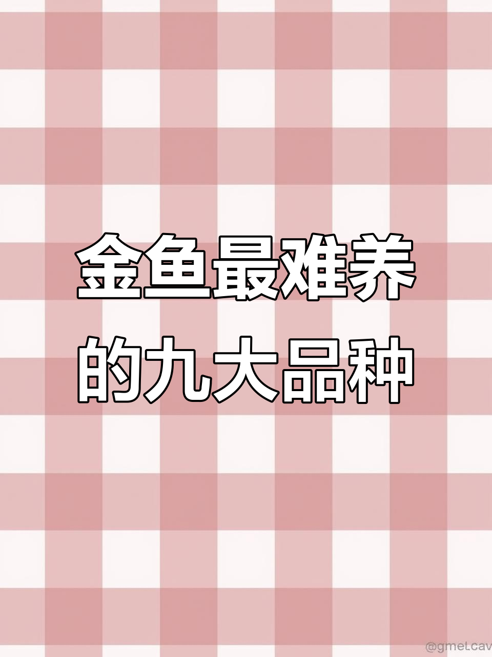 丹凤金鱼难养?这些品种最容易出问题