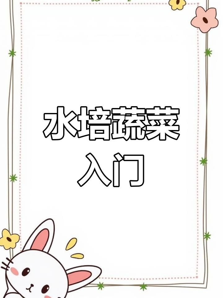 家庭水培蔬菜全攻略,轻松上手!