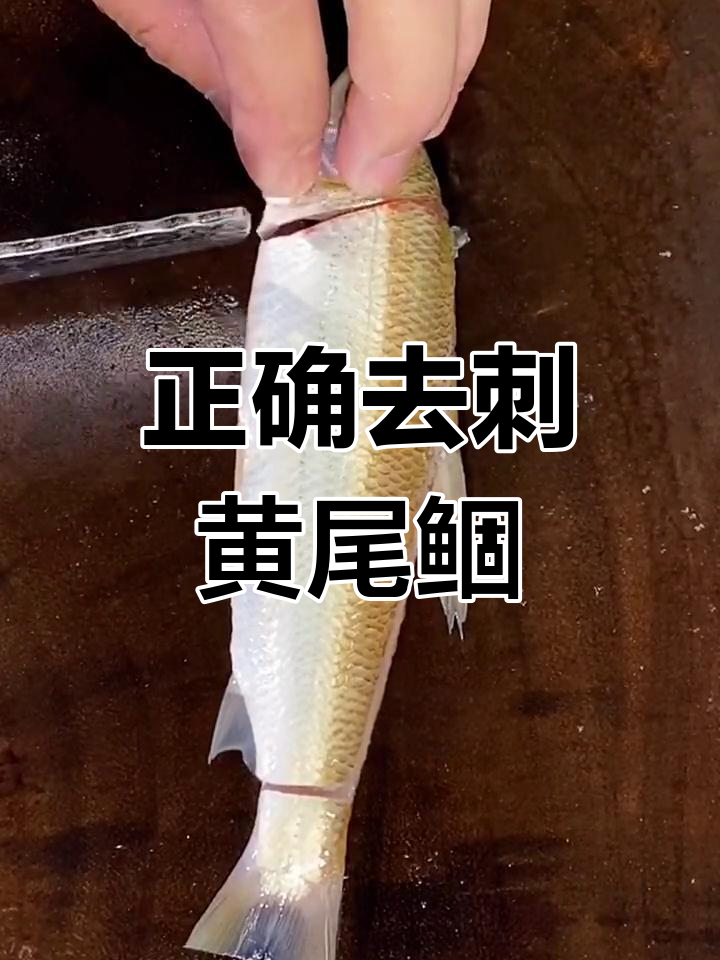 黄尾鲴鱼处理技巧大揭秘,避免卡喉的完美方法
