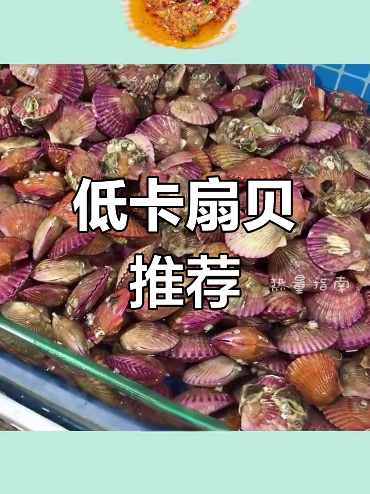 扇贝:低脂高蛋白,减脂期好选择