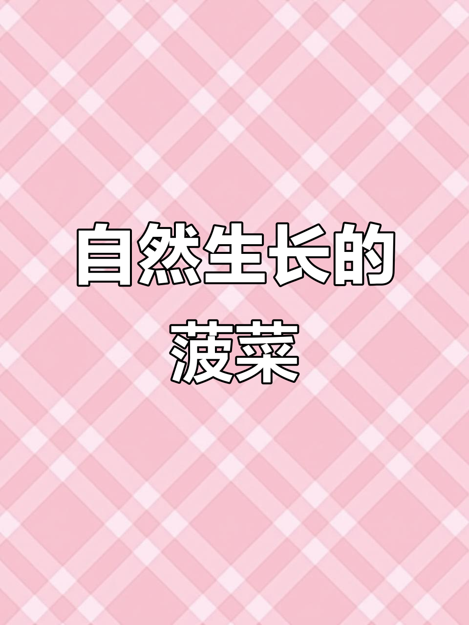 菠菜天然生长,无需农药和添加剂,保留原汁原味