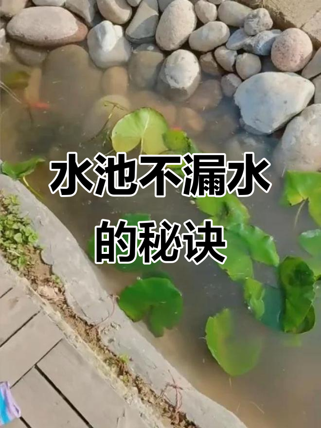 鱼池返工不再漏水，水泥加防水胶搞定！