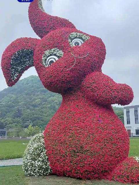 有一种美好叫辽宁 辽宁好网民守法好公民「杭州网红兔最后一次变身,你打卡了吗?」此前,杭州一