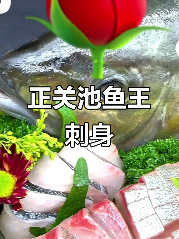 池鱼王刺身,鲜美无比的日料享受