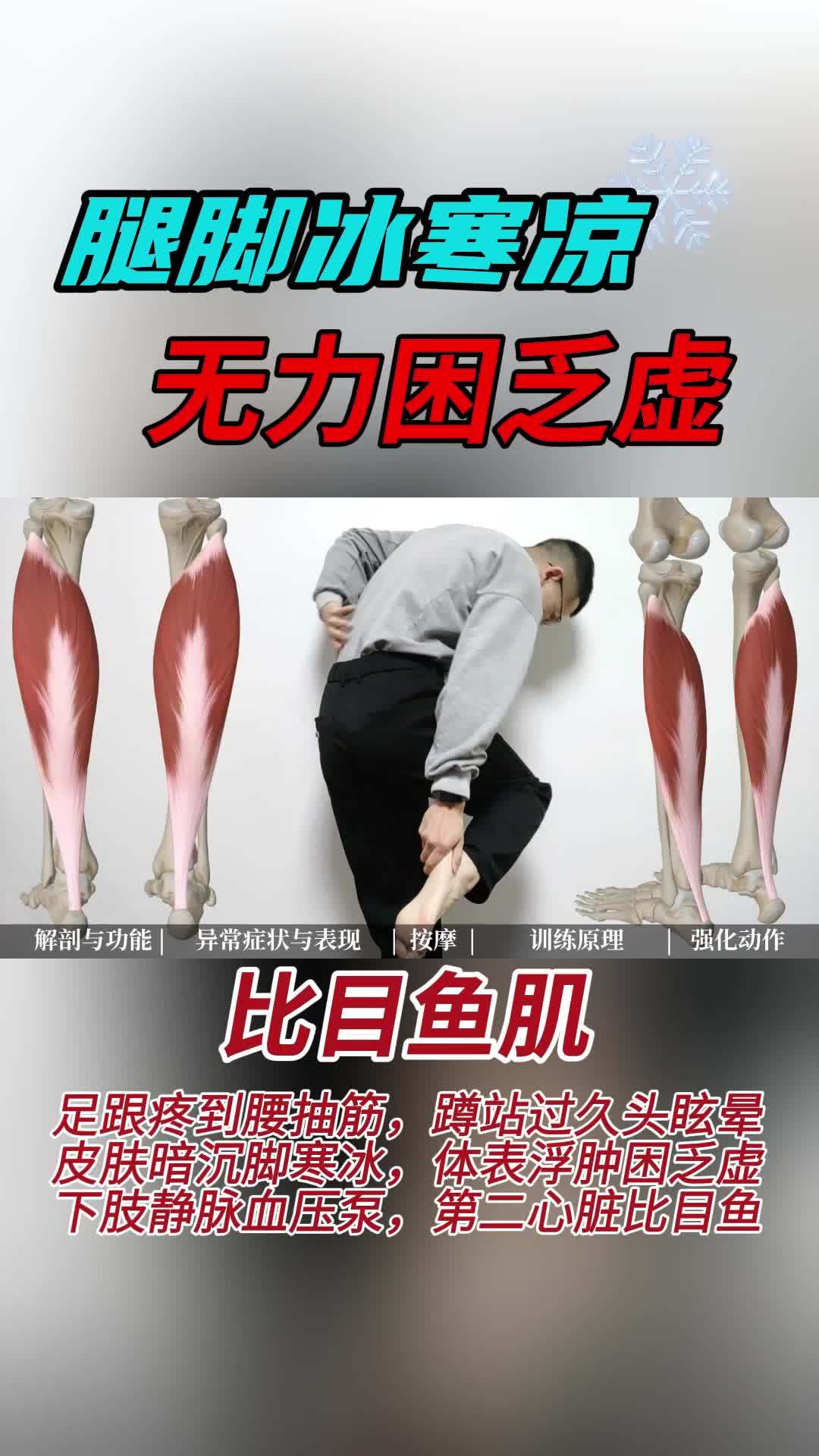 冬天拯救腿脚寒冰冷,无力困乏虚!足跟疼到腰抽筋,蹲站过久头眩晕 皮肤暗沉脚寒冰,体表浮肿困