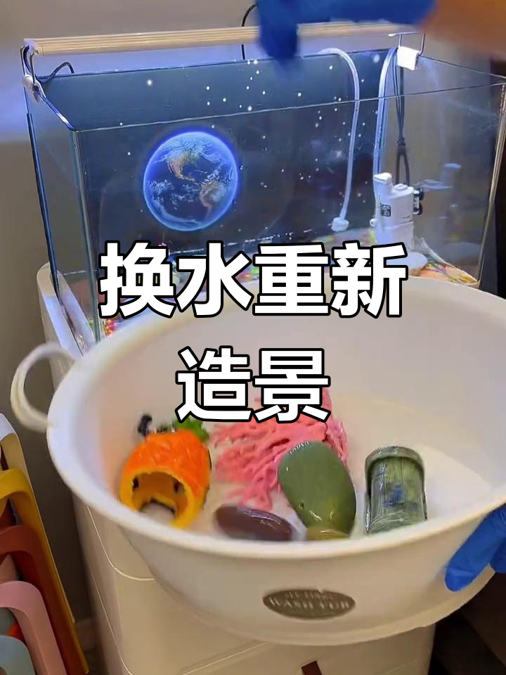 鱼缸布景大改造,轻松换水重做