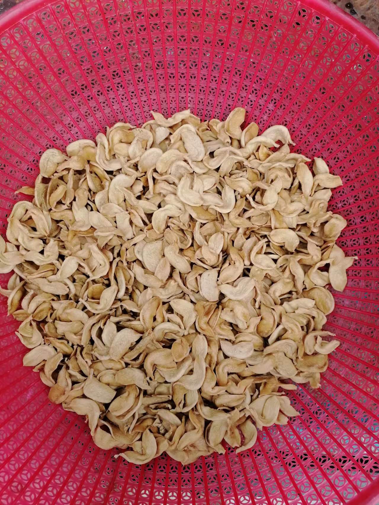 风味特色素鸡翅机