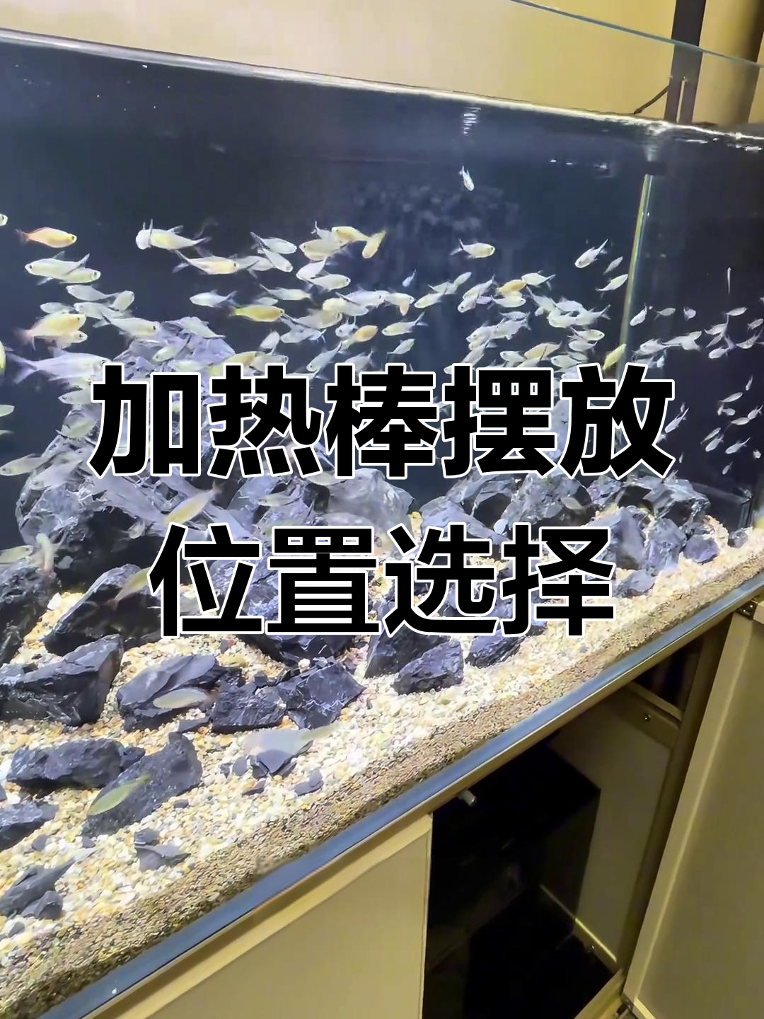 加热棒放水泵舱还是鱼缸?耗电量实测结果揭晓