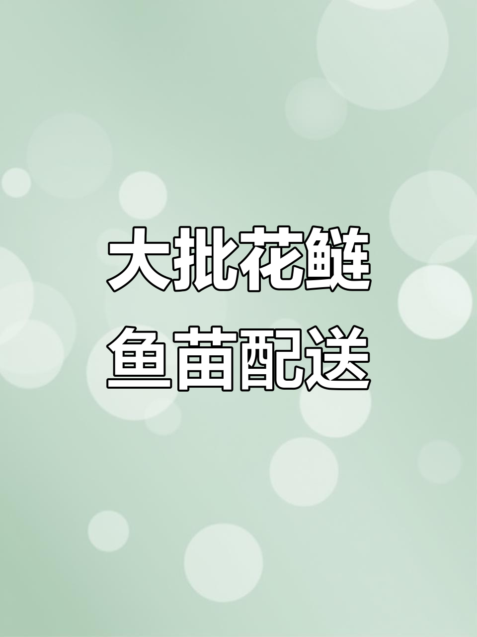 花鲢鱼苗大批量配送，水车直达养殖场
