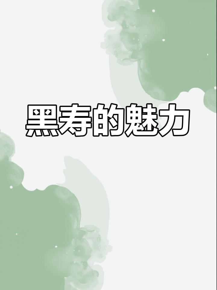 忍不住又拍小黑,黑寿帅气十足!