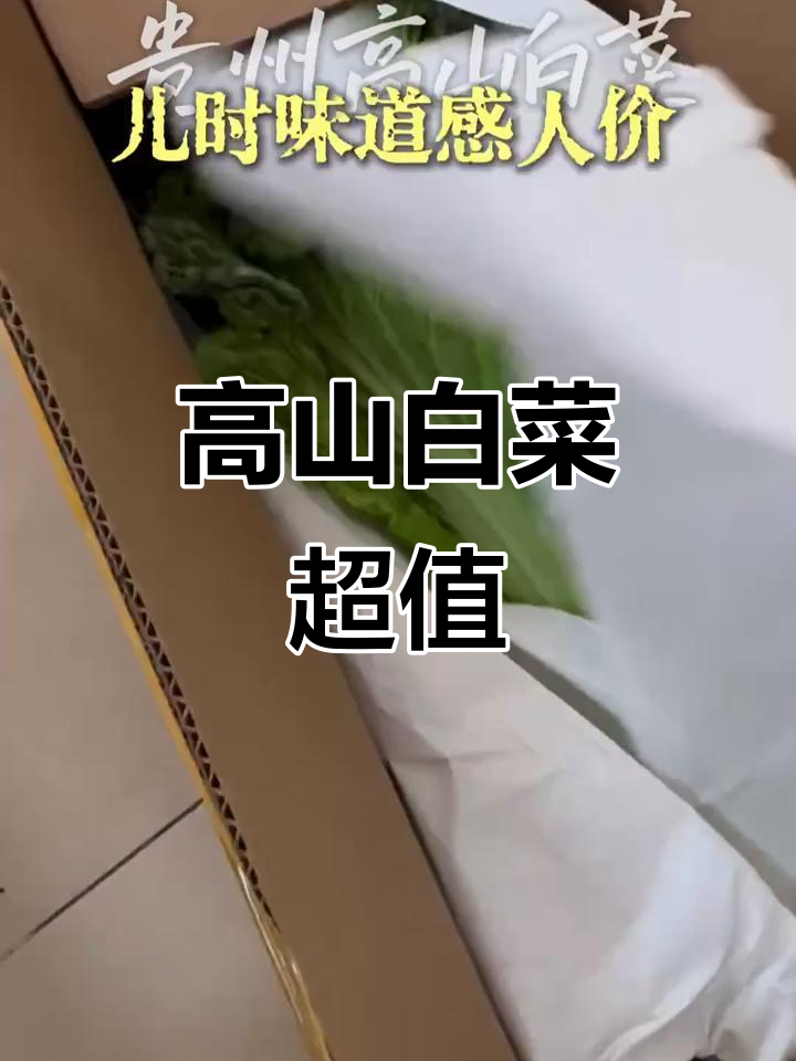贵州高山白菜,质朴又美味,价格感人