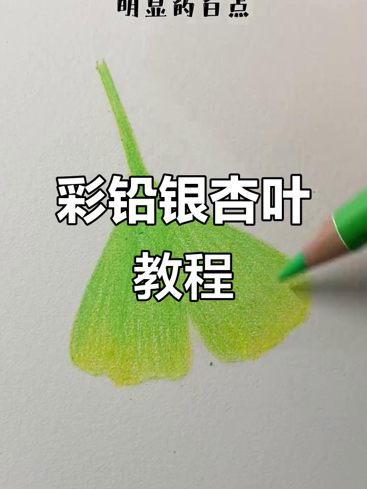 彩铅银杏叶画法,轻松画出栩栩如生的叶片效果