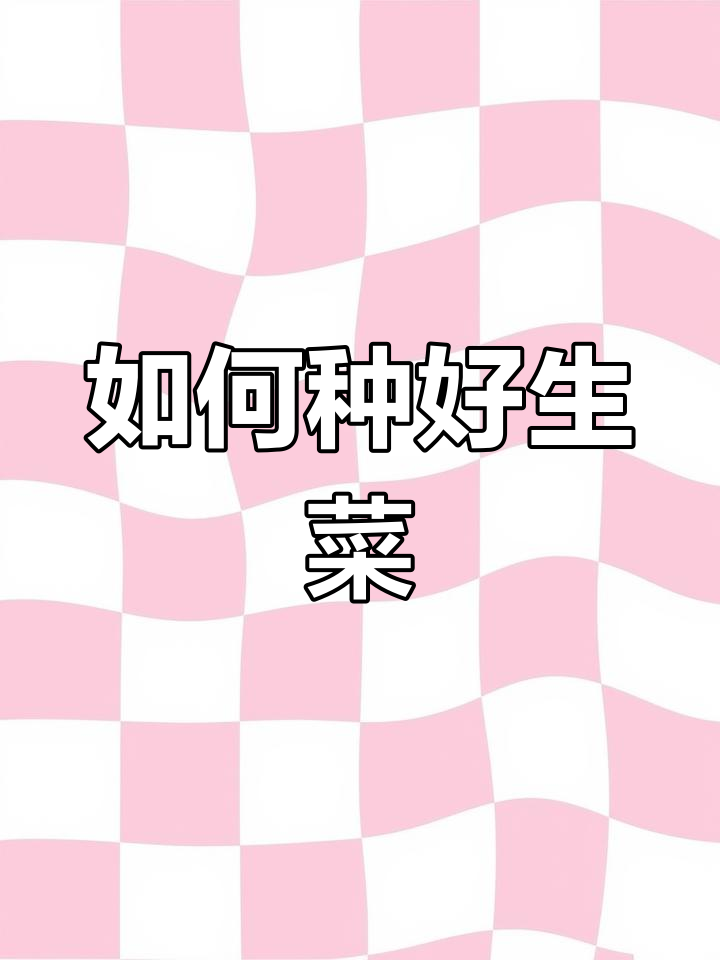 生菜种植技巧:从播种到出苗全攻略