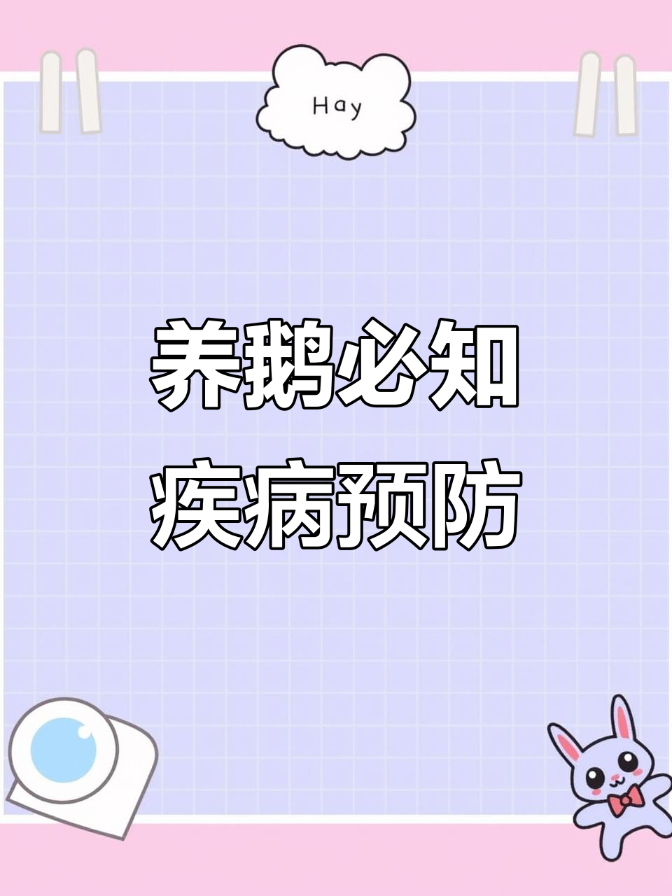 常见鹅病防治技巧,轻松学会自我诊断与应对