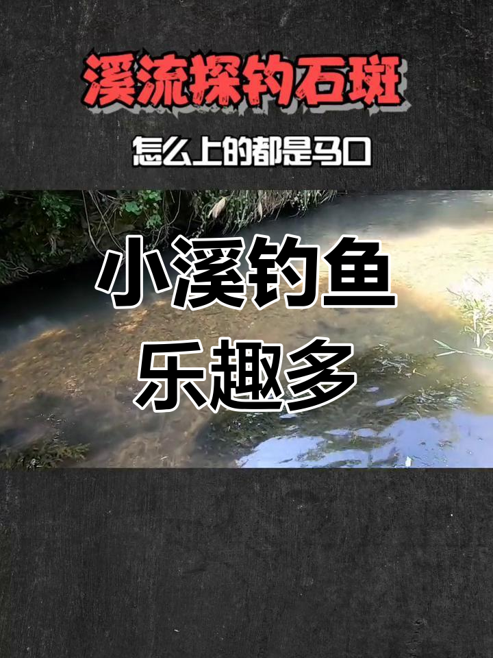 溪流钓马口,巴掌大的小石斑太诱人