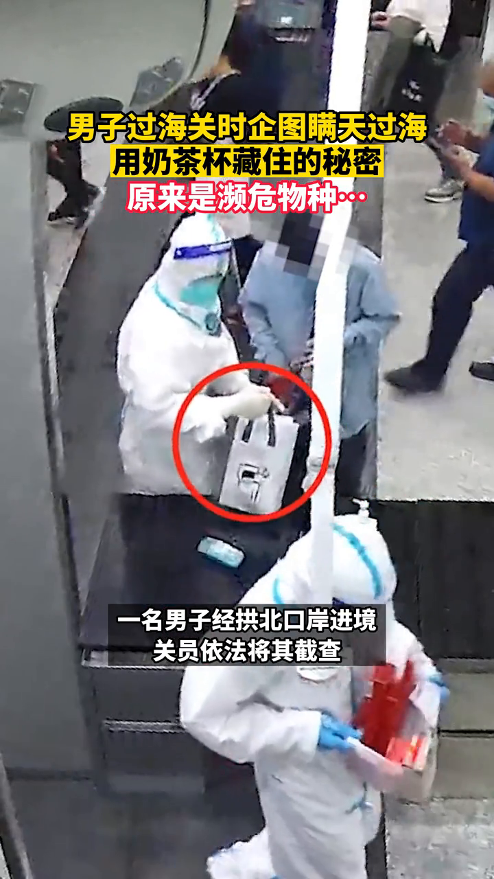 两名男子用奶茶杯藏匿活体濒危乌龟进境,被拱北海关查获
