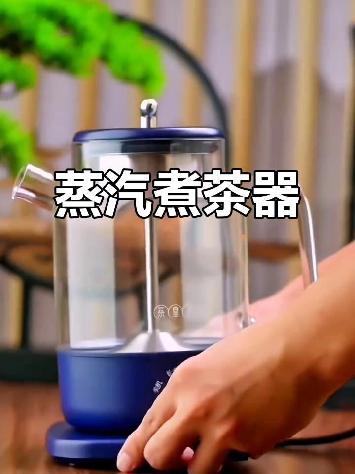 茶皇子蒸汽煮壶,黑白茶普洱保温,家用新风尚